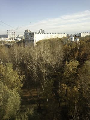 Смартфон Doogee T6 Pro