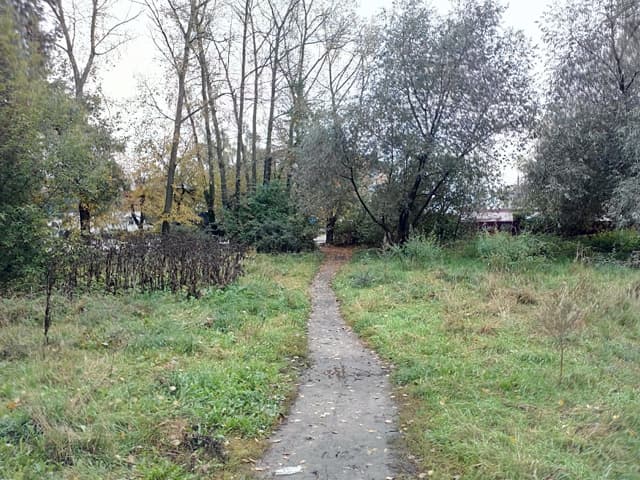 Обзор Fly IQ444 Diamond 2. Демонстрационный снимок