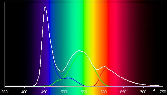 Обзор Fly IQ451. Тестирование дисплея