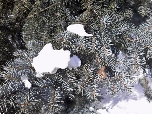 Highscreen Jet Duo пример снимка