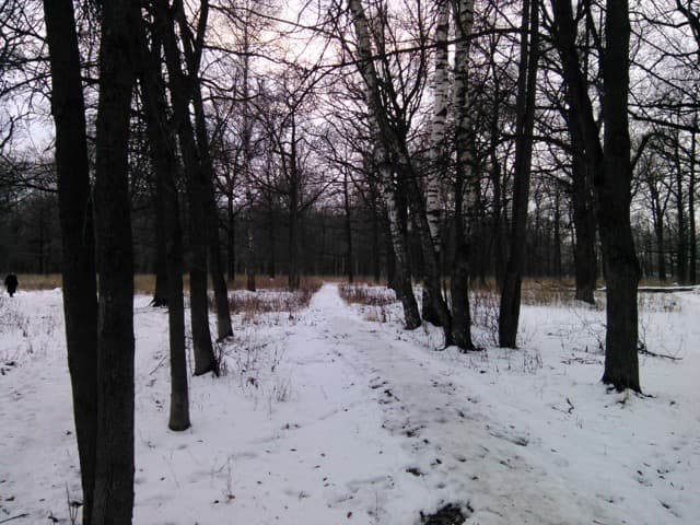 Обзор Highscreen WinJoy/WinWin. Демонстрационный снимок