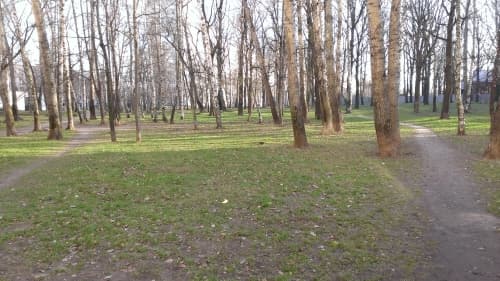 Обзор Windows Phone 8X by HTC