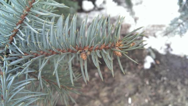 Обзор смартфона HTC One