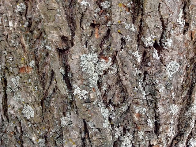 Обзор Huawei Ascend D1 Quad XL. Демонстрационный снимок