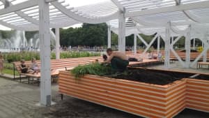 примеры снимков Huawei Ascend P1 