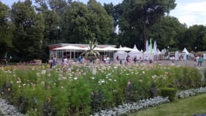 примеры снимков Huawei Ascend P1 