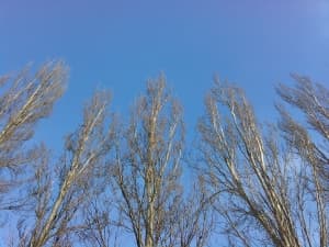 Обзор смартфона Huawei Ascend W1