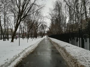 Обзор смартфона Huawei Honor 6X