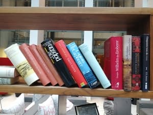 Примеры фотографий, сделанных на камеру Honor 9