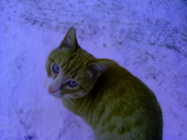 Обзор iconBIT Mercury X. Демонстрационный снимок