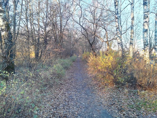 Обзор Iconbit Mercury XL. Демонстрационный снимок