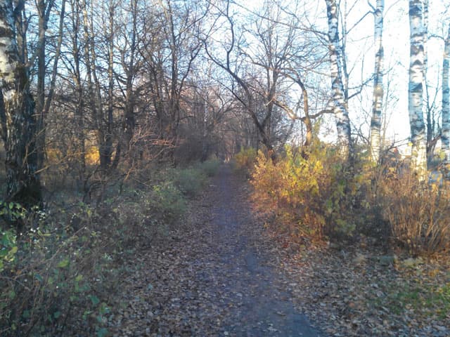 Обзор Iconbit Mercury XL. Демонстрационный снимок