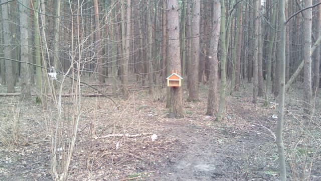 Обзор IRU M5302 Gzhel. Демонстрационный снимок