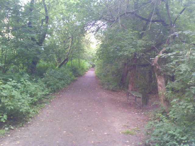 Обзор Jiayu G4. Демонстрационный снимок