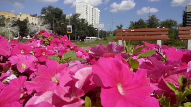 Обзор Jiayu G4S. Демонстрационный снимок