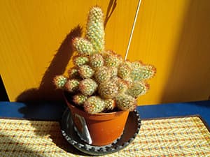 Фотографии смартфона LG Optimus G Pro