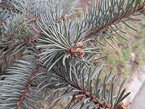 Фотографии смартфона LG Optimus G Pro