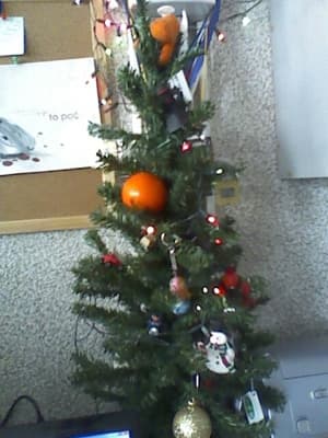 Обзор LG Optimus L9