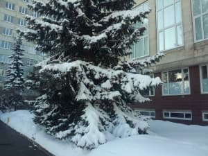 Обзор Meizu MX2