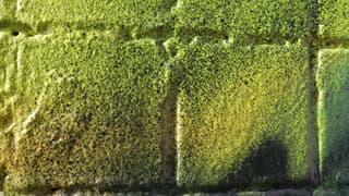 Внешняя камера