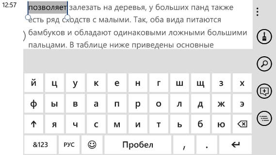 Программное обеспечение Nokia Lumia 1520