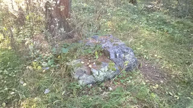 Обзор Nokia Lumia 625. Демонстрационный снимок