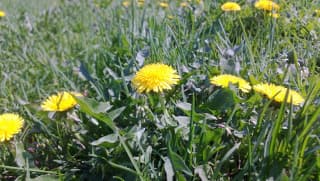 Внешняя камера