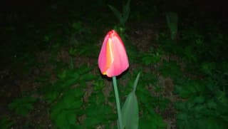 Внешняя камера