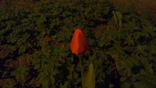 Внешняя камера