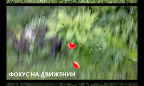 Утилита Nokia Smart Cam в Nokia Lumia 925