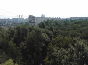 Тестовый снимок тыльной камеры ZTE nubia z5