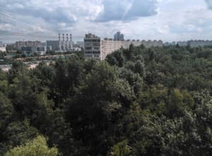 Тестовый снимок тыльной камеры ZTE nubia z5