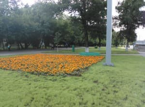 Тестовый снимок тыльной камеры ZTE nubia z5