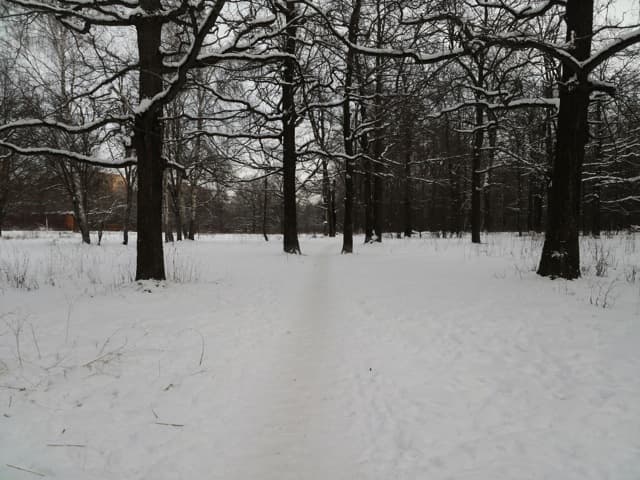 Обзор Pantech Vega Iron. Демонстрационный снимок