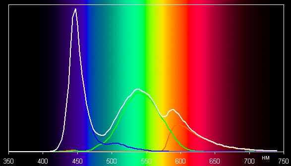 Обзор смартфона Ruggear Apex Pro RG970. Тестирование дисплея
