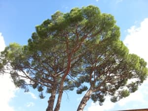 Обзор Samsung Galaxy Note 2