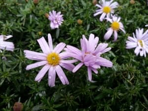 Обзор Samsung Galaxy Note 2