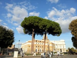 Обзор Samsung Galaxy Note 2