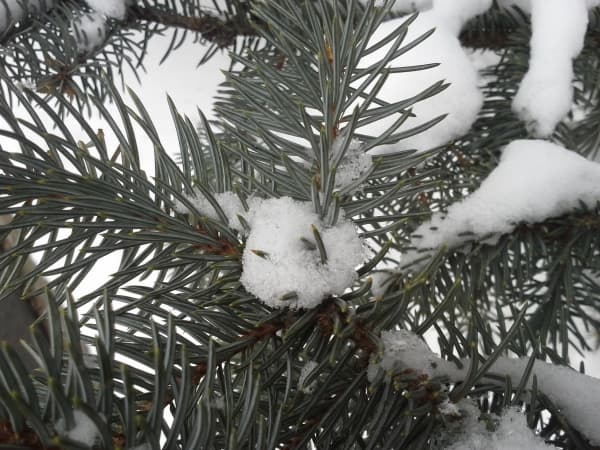 Обзор смартфона Samsung Galaxy Xcover 2