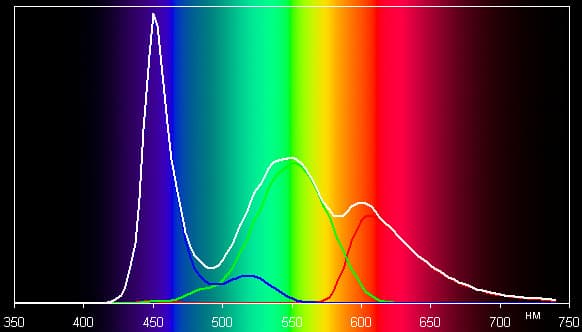 Обзор Samsung Galaxy Xcover 2