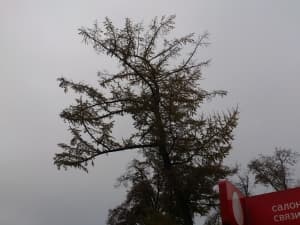 Обзор коммуникатора Sony Xperia acro S