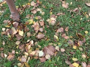 Обзор коммуникатора Sony Xperia acro S