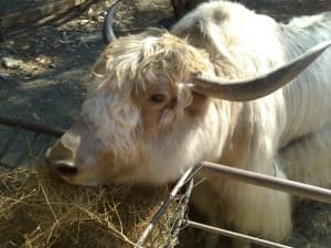 камера Sony Xperia go — примеры снимков