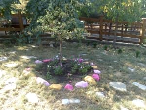 камера Sony Xperia go — примеры снимков