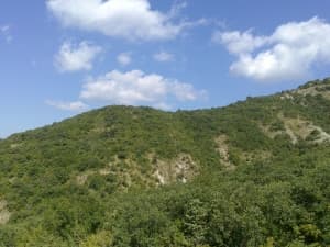 камера Sony Xperia go — примеры снимков