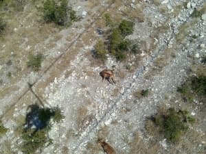 камера Sony Xperia go — примеры снимков