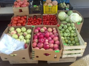 камера Sony Xperia sola — примеры снимков