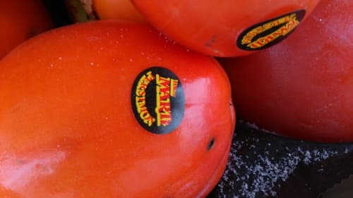 обзор смартфона Sony Xperia V