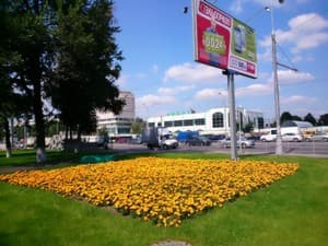 Обзор Sony Xperia Z Ultra. Пример фотографии