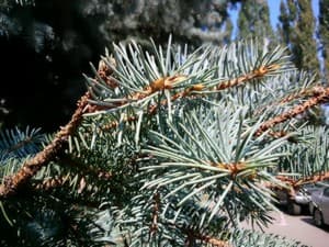 Обзор Sony Xperia Z Ultra. Пример фотографии